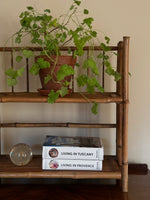 Load image into Gallery viewer, KEPT London Bamboo fold out shelves
