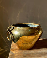 Load image into Gallery viewer, KEPT London Stock Brass planter with elephant handles
