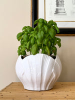 Load image into Gallery viewer, KEPT London Stock Ceramic shell planter
