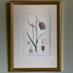 Load image into Gallery viewer, KEPT London Stock Fritillaria botanical print
