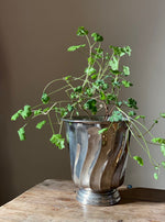 Load image into Gallery viewer, KEPT London Stock Metal planter with wave design

