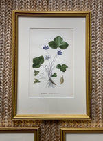 Load image into Gallery viewer, KEPT London Stock Three botanical lithographs, framed
